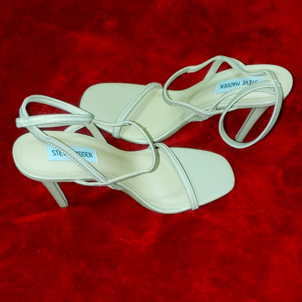 Steve madden